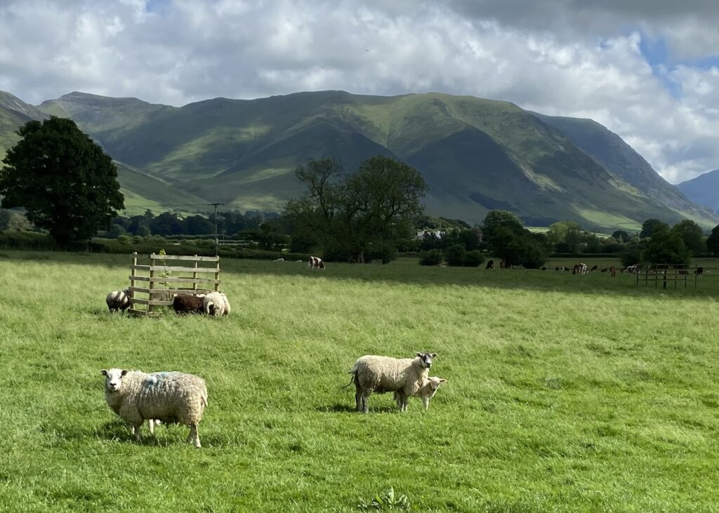 Somewhere in Cumbria, England